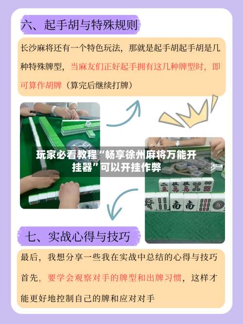 玩家必看教程“畅享徐州麻将万能开挂器	”可以开挂作弊-第3张图片