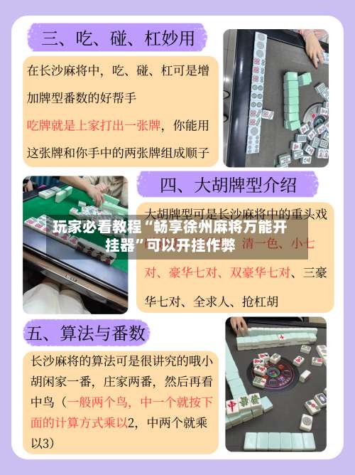 玩家必看教程“畅享徐州麻将万能开挂器”可以开挂作弊-第2张图片