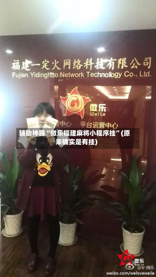 辅助神器“微乐福建麻将小程序挂	”(原来确实是有挂)-第2张图片