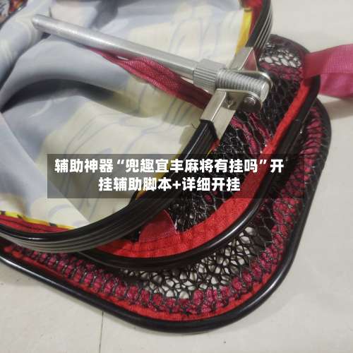 辅助神器“兜趣宜丰麻将有挂吗”开挂辅助脚本+详细开挂-第2张图片