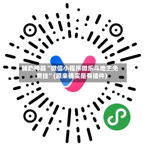 辅助神器“微信小程序微乐斗地主免费挂”(原来确实是有插件)-第3张图片