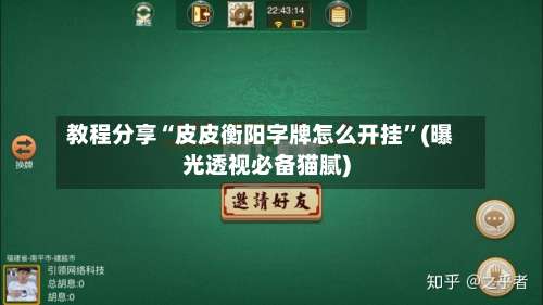 教程分享“皮皮衡阳字牌怎么开挂	”(曝光透视必备猫腻)-第2张图片