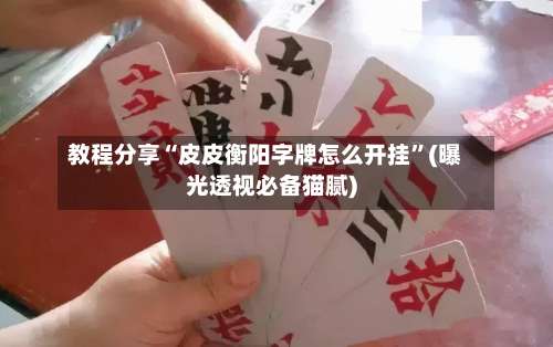 教程分享“皮皮衡阳字牌怎么开挂”(曝光透视必备猫腻)-第3张图片