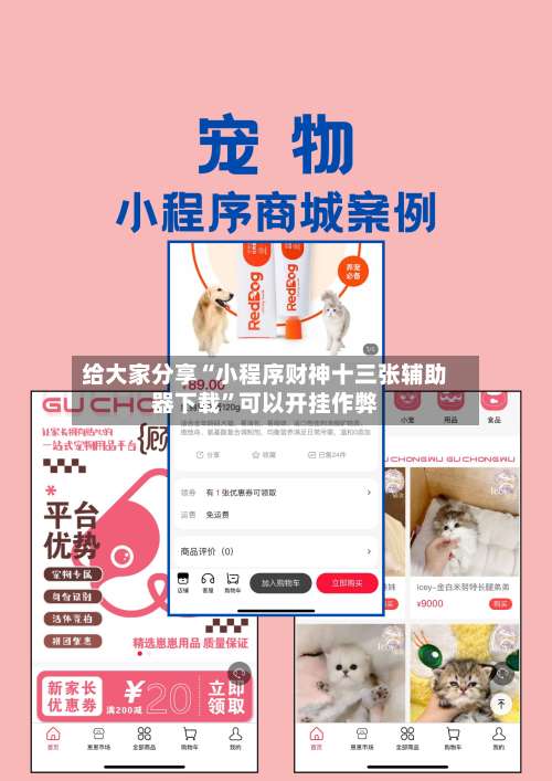 给大家分享“小程序财神十三张辅助器下载”可以开挂作弊-第3张图片