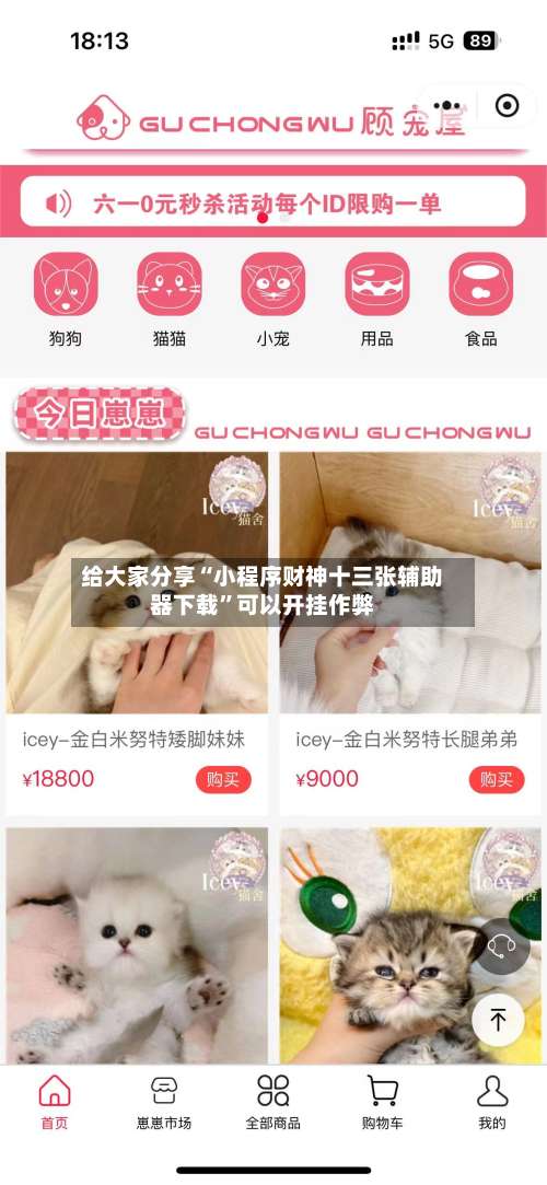 给大家分享“小程序财神十三张辅助器下载	”可以开挂作弊-第1张图片