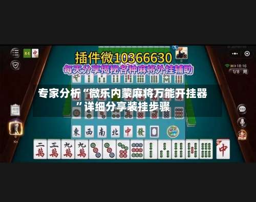 专家分析“微乐内蒙麻将万能开挂器”详细分享装挂步骤-第2张图片
