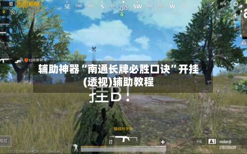 辅助神器“南通长牌必胜口诀”开挂(透视)辅助教程-第3张图片