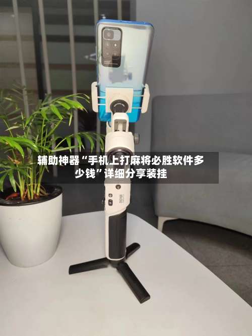 辅助神器“手机上打麻将必胜软件多少钱”详细分享装挂-第3张图片