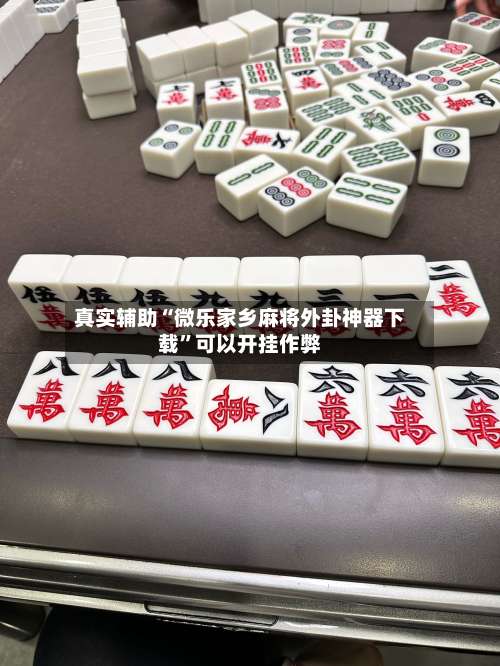 真实辅助“微乐家乡麻将外卦神器下载”可以开挂作弊-第3张图片