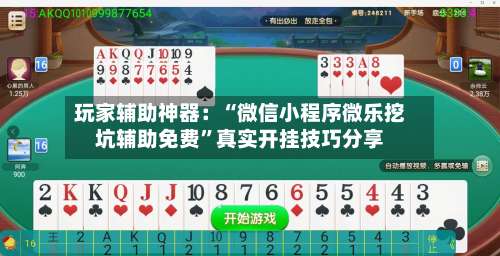 玩家辅助神器：“微信小程序微乐挖坑辅助免费”真实开挂技巧分享-第1张图片