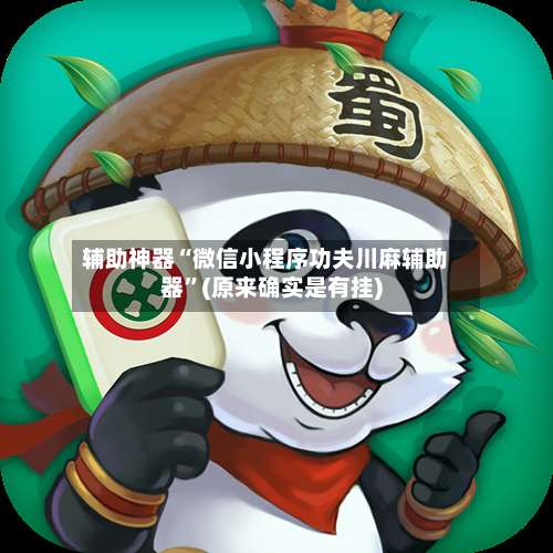 辅助神器“微信小程序功夫川麻辅助器	”(原来确实是有挂)-第2张图片