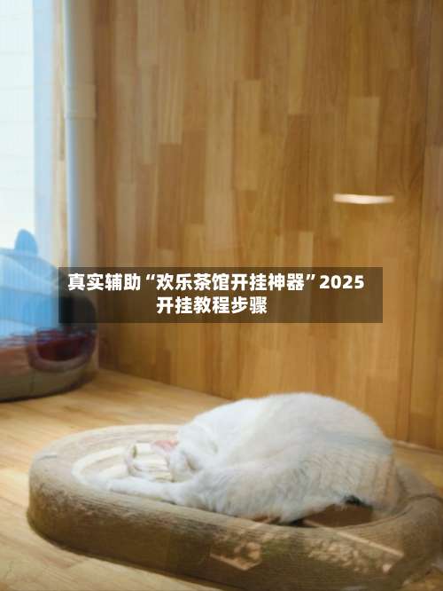 真实辅助“欢乐茶馆开挂神器	”2025开挂教程步骤-第3张图片