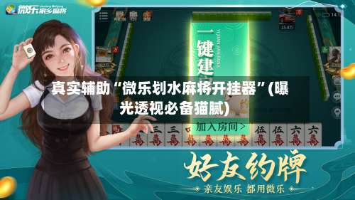 真实辅助“微乐划水麻将开挂器	”(曝光透视必备猫腻)-第2张图片