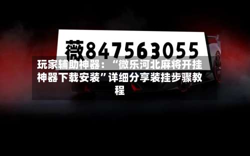 玩家辅助神器：“微乐河北麻将开挂神器下载安装”详细分享装挂步骤教程-第3张图片