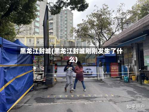 黑龙江封城(黑龙江封城刚刚发生了什么)-第2张图片