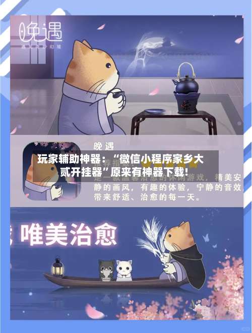 玩家辅助神器：“微信小程序家乡大贰开挂器”原来有神器下载!-第1张图片