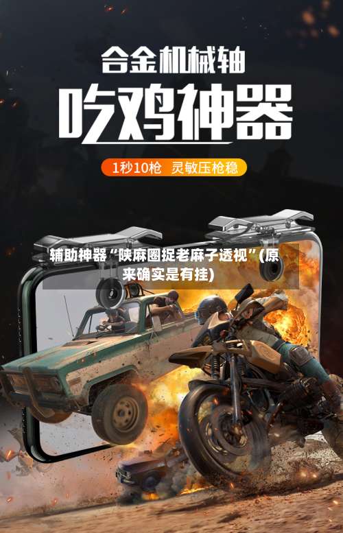 辅助神器“陕麻圈捉老麻子透视”(原来确实是有挂)-第1张图片