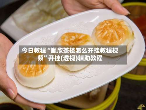 今日教程“顺欣茶楼怎么开挂教程视频	”开挂(透视)辅助教程-第2张图片