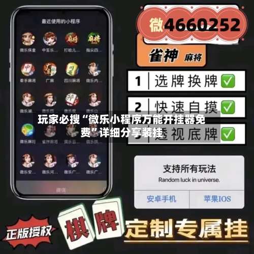 玩家必搜“微乐小程序万能开挂器免费”详细分享装挂-第3张图片