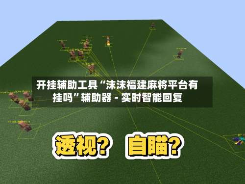 开挂辅助工具“沫沫福建麻将平台有挂吗”辅助器 - 实时智能回复-第2张图片