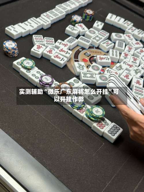 实测辅助“微乐广东麻将怎么开挂”可以开挂作弊-第2张图片