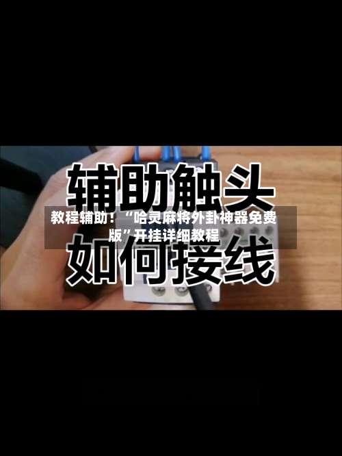 教程辅助！“哈灵麻将外卦神器免费版”开挂详细教程-第1张图片