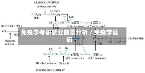 免疫学考研就业前景分析／免疫学读研-第1张图片