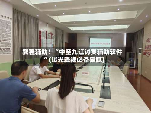 教程辅助！“中至九江讨赏辅助软件”(曝光透视必备猫腻)-第3张图片