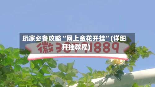 玩家必备攻略“网上金花开挂	”(详细开挂教程)-第1张图片