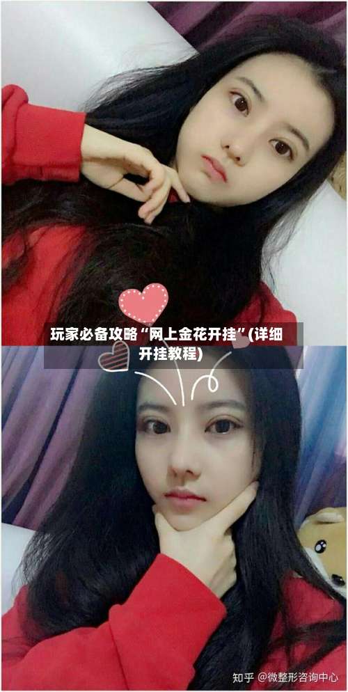 玩家必备攻略“网上金花开挂”(详细开挂教程)-第2张图片