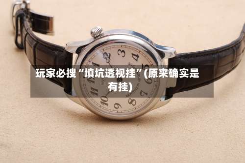 玩家必搜“填坑透视挂”(原来确实是有挂)-第1张图片