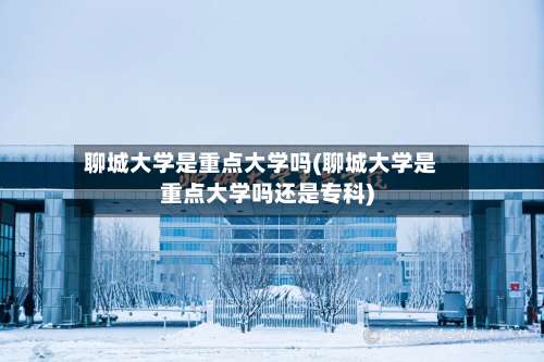 聊城大学是重点大学吗(聊城大学是重点大学吗还是专科)-第3张图片