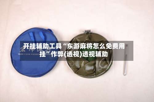 开挂辅助工具“东游麻将怎么免费用挂	”作弊(透视)透视辅助-第1张图片