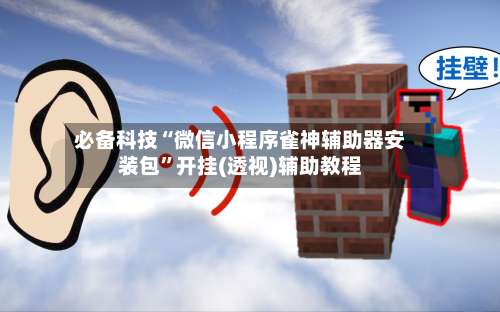必备科技“微信小程序雀神辅助器安装包”开挂(透视)辅助教程-第3张图片