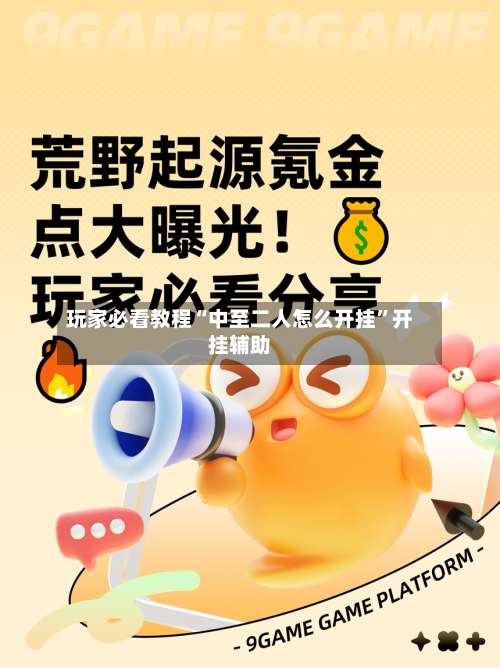 玩家必看教程“中至二人怎么开挂”开挂辅助-第3张图片