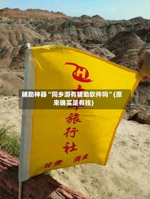 辅助神器“同乡游有辅助软件吗	”(原来确实是有挂)-第2张图片