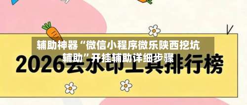 辅助神器“微信小程序微乐陕西挖坑辅助”开挂辅助详细步骤-第1张图片