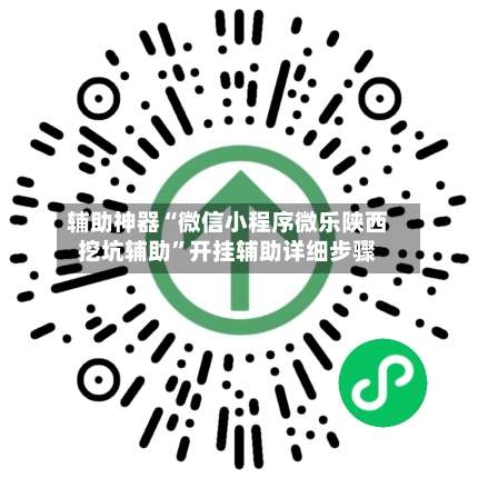 辅助神器“微信小程序微乐陕西挖坑辅助	”开挂辅助详细步骤-第3张图片