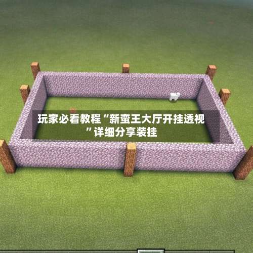 玩家必看教程“新蛮王大厅开挂透视”详细分享装挂-第2张图片