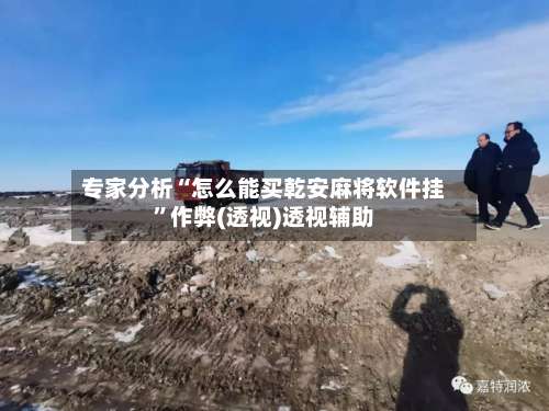 专家分析“怎么能买乾安麻将软件挂”作弊(透视)透视辅助-第2张图片