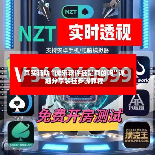 真实辅助“微乐软件挂是真的吗”详细分享装挂步骤教程-第1张图片