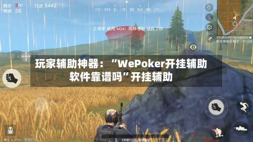 玩家辅助神器：“WePoker开挂辅助软件靠谱吗	”开挂辅助-第2张图片