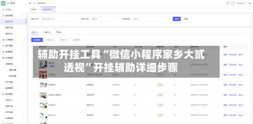 辅助开挂工具“微信小程序家乡大贰透视”开挂辅助详细步骤-第1张图片