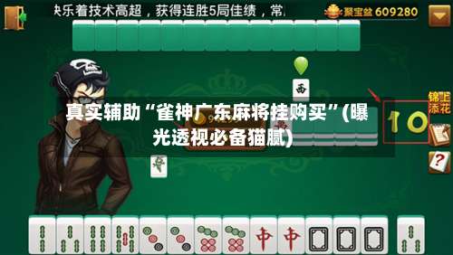 真实辅助“雀神广东麻将挂购买”(曝光透视必备猫腻)-第1张图片