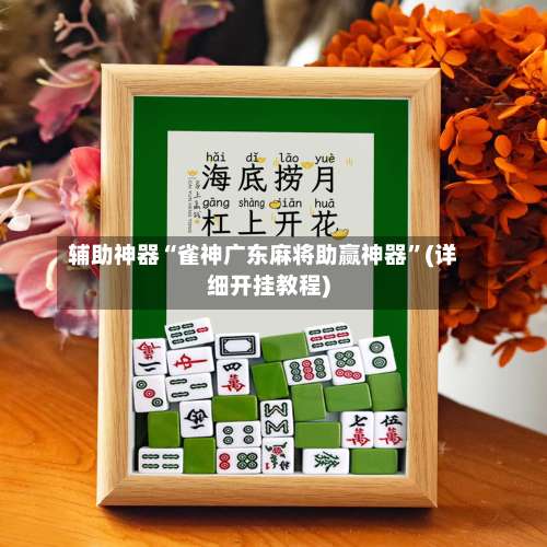 辅助神器“雀神广东麻将助赢神器	”(详细开挂教程)-第2张图片