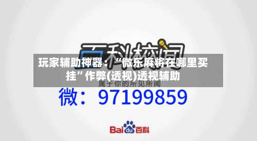 玩家辅助神器：“微乐麻将在哪里买挂”作弊(透视)透视辅助-第2张图片