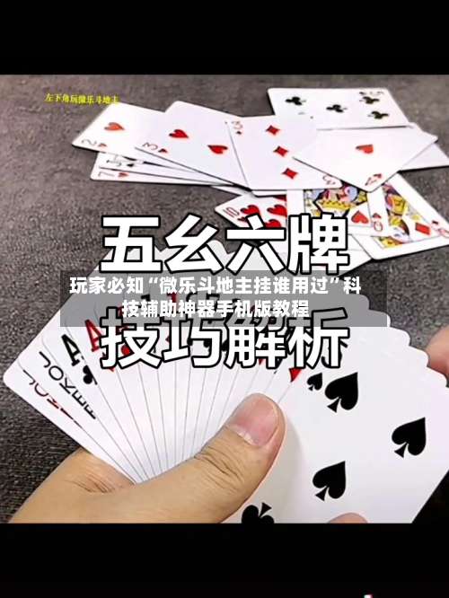 玩家必知“微乐斗地主挂谁用过	”科技辅助神器手机版教程-第2张图片