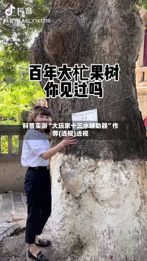 科普实测“大玩家十三水辅助器”作弊(透视)透视-第2张图片