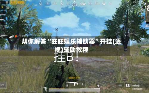 帮你解答“旺旺娱乐辅助器”开挂(透视)辅助教程-第1张图片