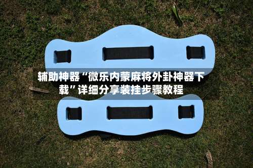 辅助神器“微乐内蒙麻将外卦神器下载	”详细分享装挂步骤教程-第1张图片
